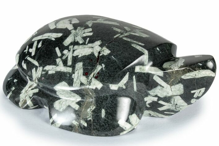 Polished Chinese Writing Rock Turtle - California #309062